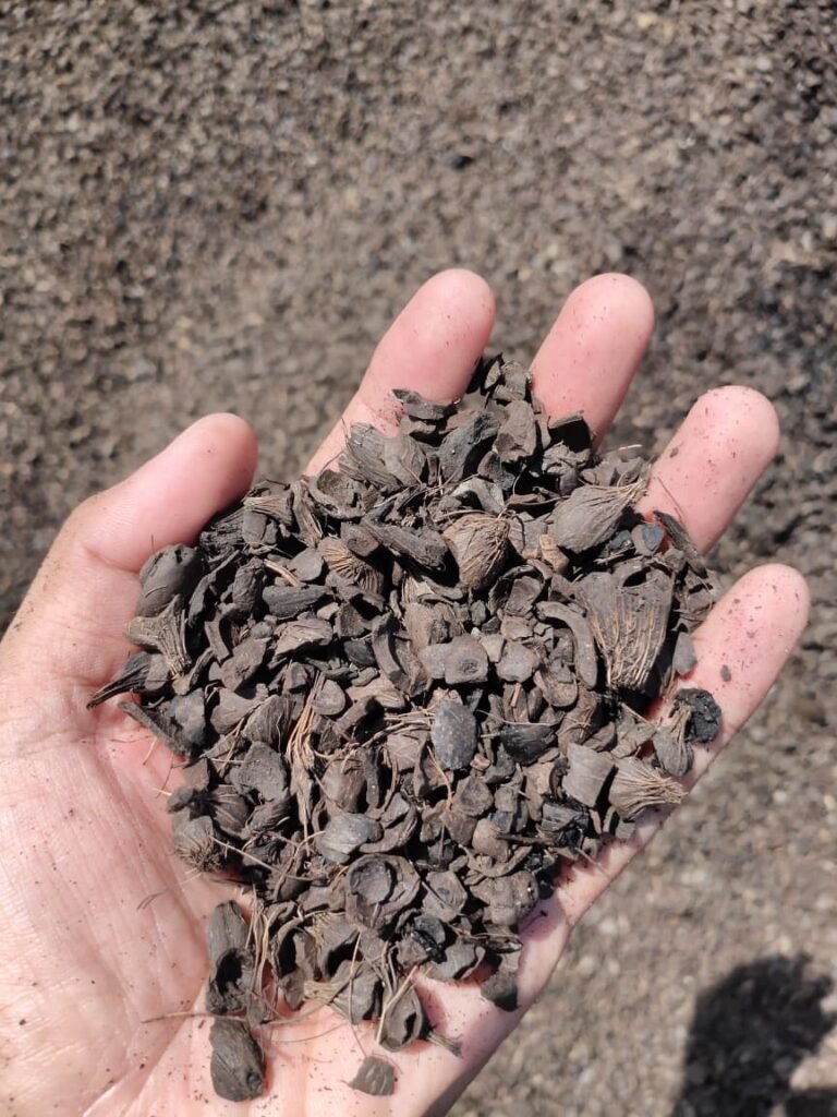 Palm kernel shell from Indonesia